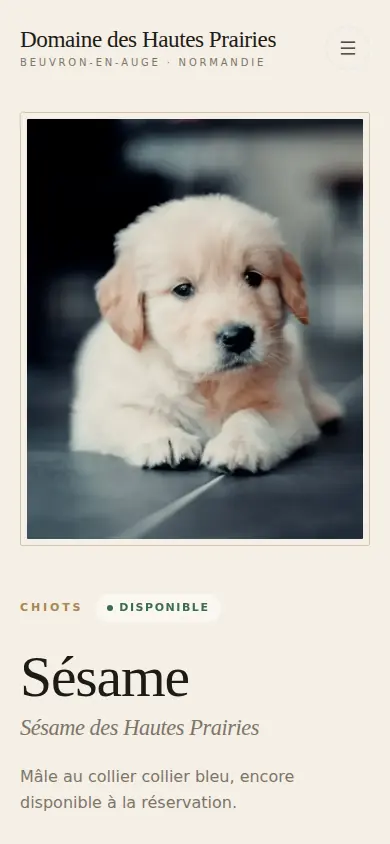 Capture mobile d’une fiche de chiot ou de chaton